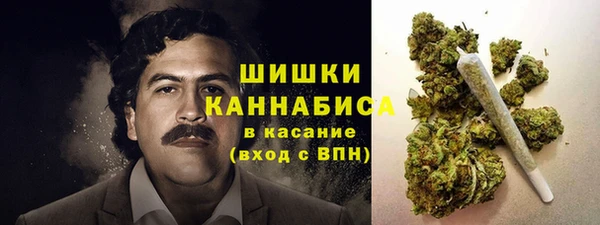 ПСИЛОЦИБИНОВЫЕ ГРИБЫ Абдулино