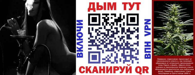 Бошки Шишки MAZAR Мостовской